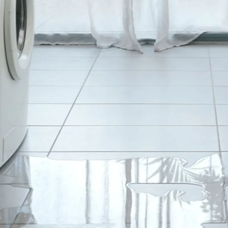 Appliance Leak Cleanup in Cottleville, MO